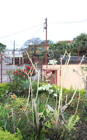 Casa à venda com 299m², 5 quartos e 4 vagasQuintal