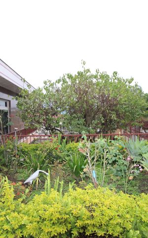 Casa à venda com 299m², 5 quartos e 4 vagasQuintal