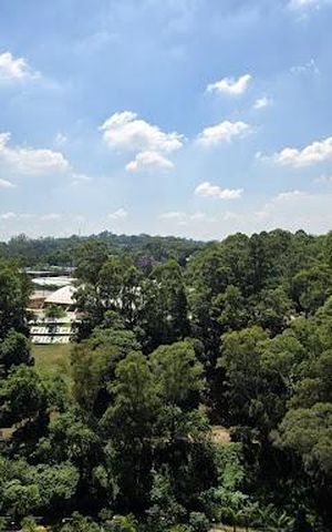 Apartamento à venda com 265m², 3 quartos e 4 vagas