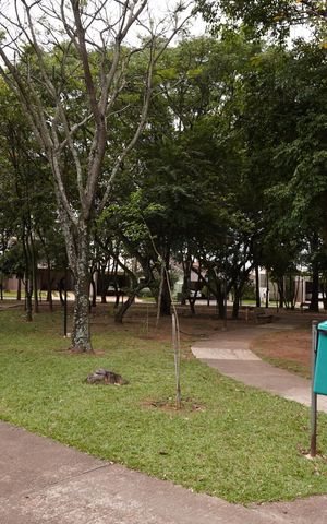 Casa de condomínio para alugar com 280m², 3 quartos e 2 vagasÁrea comum - Area verde