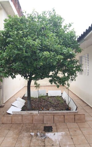 Casa para alugar com 80m², 2 quartos e 1 vagaÁrea de Serviço