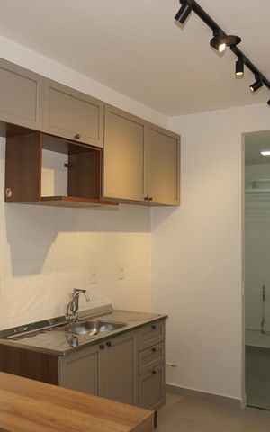 Apartamento para alugar com 52m², 2 quartos e 1 vagaCozinha
