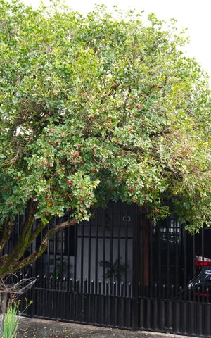 Casa à venda com 160m², 3 quartos e 2 vagasFachada