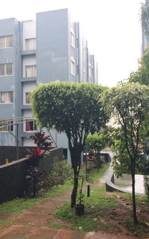 Apartamento para alugar com 51m², 2 quartos e 1 vagaVista janela da sala