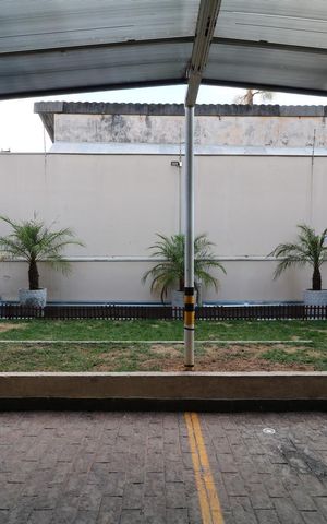 Apartamento à venda com 52m², 2 quartos e 1 vagaÁrea Comum - Espaço Pet 1