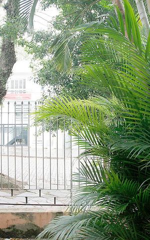 Apartamento à venda com 88m², 3 quartos e sem vagaQuarto 1 Vista