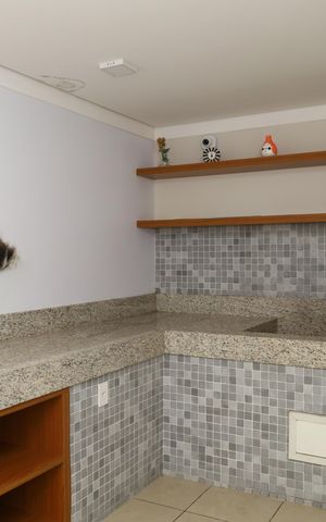 Apartamento à venda com 35m², 2 quartos e sem vagaÁrea comum - Pet Care 