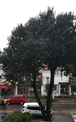 Apartamento à venda com 61m², 3 quartos e 1 vaga Apartamento à venda com 61m², 3 quartos e 1 vagaVista da Sacada