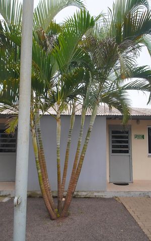 Apartamento à venda com 54m², 2 quartos e 1 vagaÁrea comum - Salão de festas