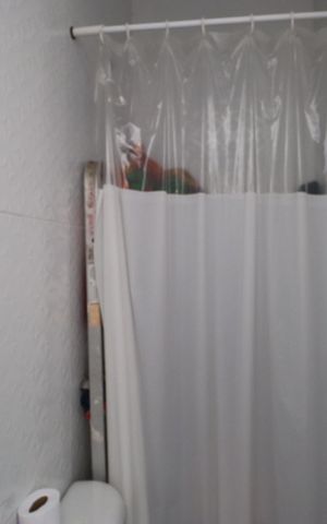Apartamento para alugar com 62m², 3 quartos e 1 vaga Apartamento para alugar com 62m², 3 quartos e 1 vagaBanheiro