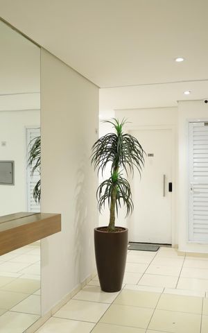 Apartamento para alugar com 42m², 2 quartos e 1 vagaÁrea comum - Saguão do prédio