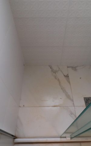 Apartamento para alugar com 56m², 2 quartos e 1 vagaBanheiro 