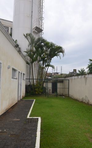 Apartamento para alugar com 47m², 2 quartos e 1 vagaVista do Quarto 2
