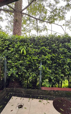 Casa de condomínio à venda com 110m², 3 quartos e 2 vagas Casa de condomínio à venda com 110m², 3 quartos e 2 vagasÁrea externa