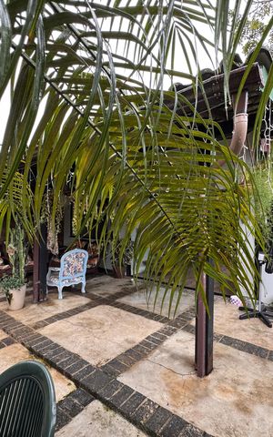 Casa de condomínio à venda com 110m², 3 quartos e 2 vagas Casa de condomínio à venda com 110m², 3 quartos e 2 vagasÁrea externa