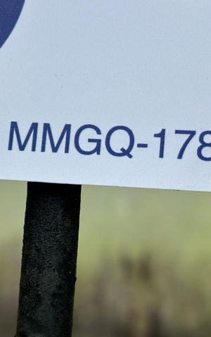 Apartamento à venda com 49m², 2 quartos e 1 vaga Apartamento à venda com 49m², 2 quartos e 1 vagaCod Placa MMGQ-1782