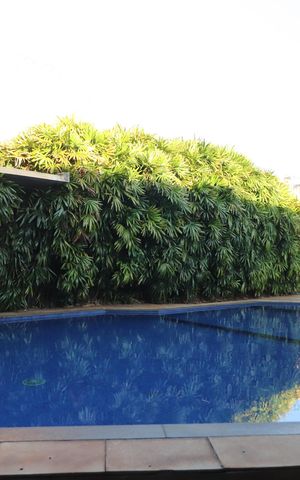 Casa para alugar com 673m², 4 quartos e 6 vagasPiscina