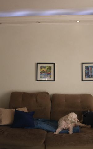 Apartamento à venda com 55m², 2 quartos e 1 vagaSala