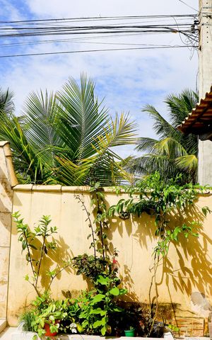Casa para alugar com 50m², 2 quartos e 2 vagas