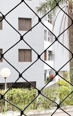 Apartamento para alugar com 50m², 2 quartos e 1 vaga Apartamento para alugar com 50m², 2 quartos e 1 vagaVista do Quarto 1