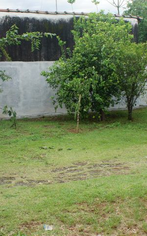 Casa para alugar com 52m², 1 quarto e 3 vagasGaragem