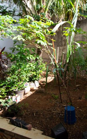 Casa à venda com 400m², 4 quartos e 8 vagas