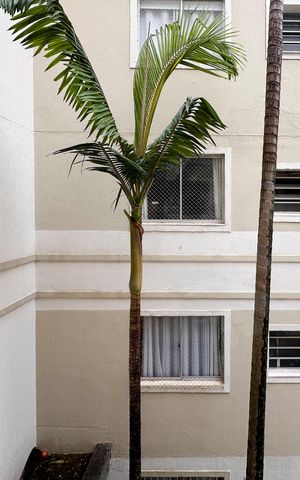 Apartamento à venda com 67m², 2 quartos e 1 vaga Apartamento à venda com 67m², 2 quartos e 1 vagaVista da Sala