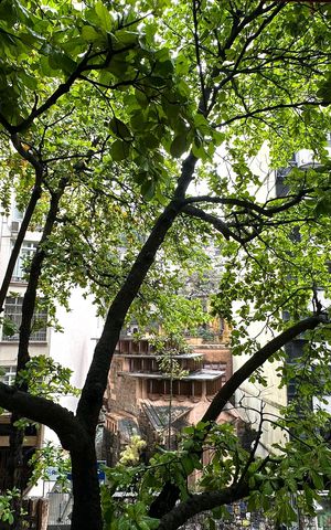 Apartamento para alugar com 151m², 3 quartos e 1 vaga
