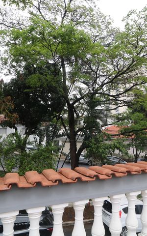 Casa para alugar com 241m², 3 quartos e 2 vagasVaranda