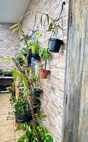 Casa à venda com 300m², 5 quartos e 5 vagas Casa à venda com 300m², 5 quartos e 5 vagasSacada