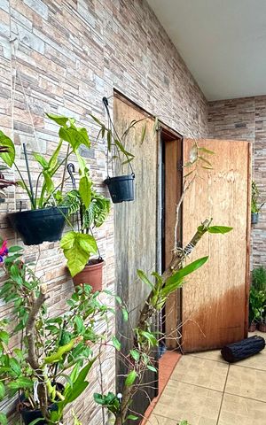Casa à venda com 300m², 5 quartos e 5 vagas Casa à venda com 300m², 5 quartos e 5 vagasSacada