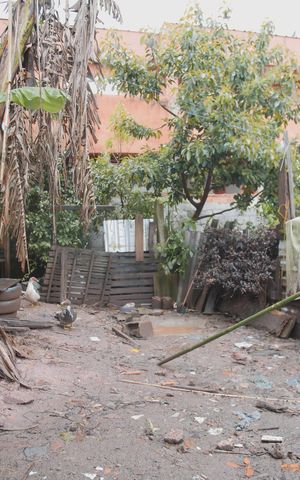 Casa à venda com 250m², 3 quartos e 3 vagas Casa à venda com 250m², 3 quartos e 3 vagasQuintal