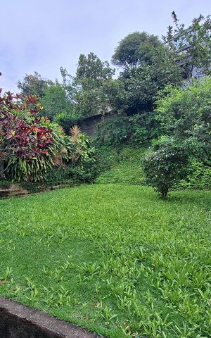 Casa de condomínio à venda com 270m², 4 quartos e 2 vagas Casa de condomínio à venda com 270m², 4 quartos e 2 vagasQuintal