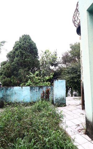 Casa à venda com 300m², 5 quartos e 5 vagasQuintal