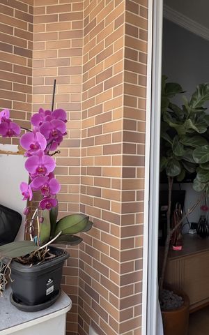 Apartamento para alugar com 57m², 2 quartos e 1 vaga Apartamento para alugar com 57m², 2 quartos e 1 vagaVaranda da Sala