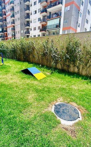 Apartamento para alugar com 45m², 2 quartos e 1 vaga Apartamento para alugar com 45m², 2 quartos e 1 vagaEspaço pet