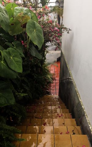 Casa à venda com 181m², 3 quartos e 3 vagas Casa à venda com 181m², 3 quartos e 3 vagasQuintal