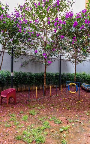 Studio para alugar com 25m², 1 quarto e sem vagaÁrea comum-Pet