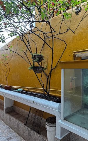 Casa para alugar com 250m², 2 quartos e 3 vagas Casa para alugar com 250m², 2 quartos e 3 vagasQuintal