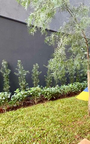 Studio para alugar com 20m², 1 quarto e sem vaga Studio para alugar com 20m², 1 quarto e sem vagaPetplace