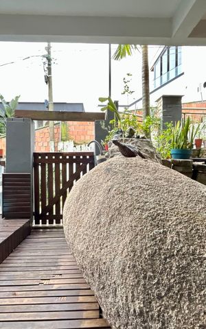 Casa para alugar com 60m², 2 quartos e 1 vaga Casa para alugar com 60m², 2 quartos e 1 vagaPiscina
