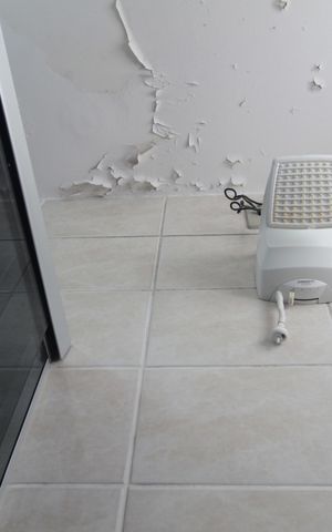 Apartamento à venda com 65m², 3 quartos e 1 vagaBanheiro Social