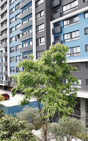 Apartamento para alugar com 54m², 2 quartos e sem vagaQuarto 1 Vista