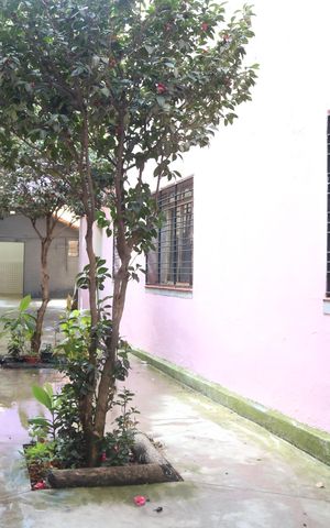 Casa para alugar com 255m², 4 quartos e 2 vagasQuintal