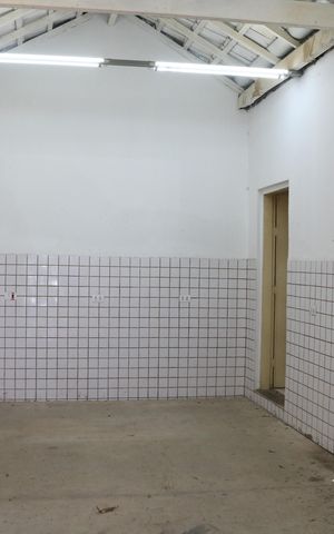 Casa para alugar com 255m², 4 quartos e 2 vagasEdícula 