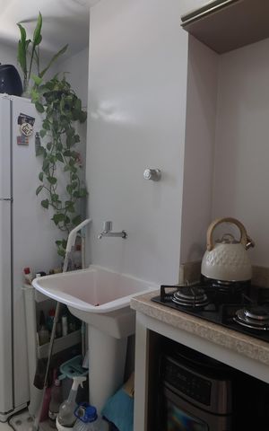Apartamento para alugar com 52m², 2 quartos e 1 vagaCozinha - Armários