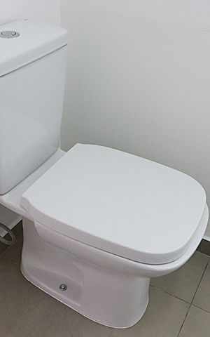 Apartamento à venda com 73m², 3 quartos e sem vagaBanheiro Social