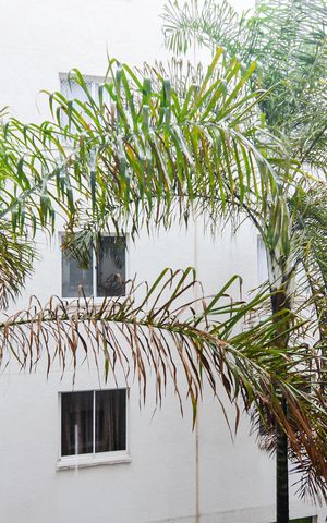 Apartamento para alugar com 37m², 2 quartos e 1 vagaVista do Quarto 1
