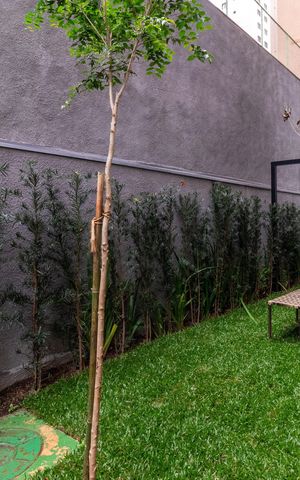 Studio para alugar com 29m², 1 quarto e sem vaga Studio para alugar com 29m², 1 quarto e sem vagaEspaço Pet