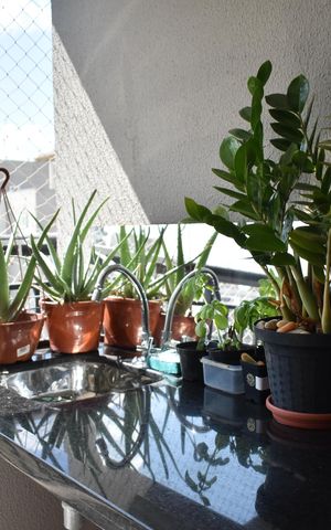 Apartamento para alugar com 72m², 2 quartos e 2 vagasSacada